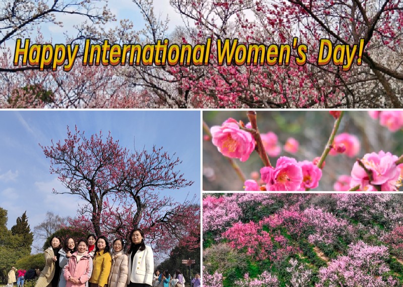 Happy International Women's Day 2024！
